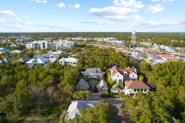 296 Walton Rose Lane, Inlet Beach, FL 32461