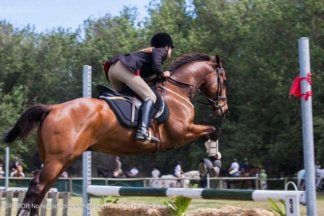 2107 Wightman Drive, Wellington, FL 33414