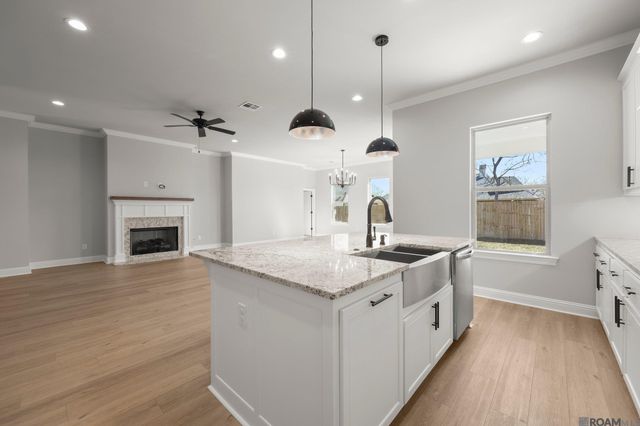 21527 Yellowfin Dr, Springfield, LA 70462