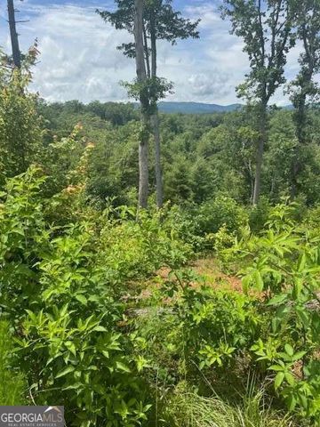 LOT 104 River Knoll Trail, Ellijay, GA 30540