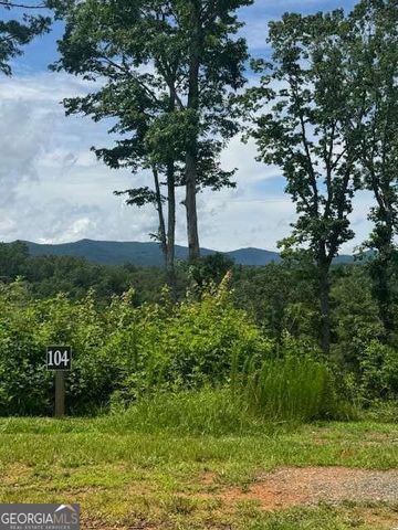 LOT 104 River Knoll Trail, Ellijay, GA 30540