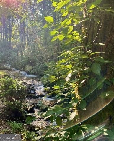 130 Mustang Creek Road, Cleveland, GA 30528
