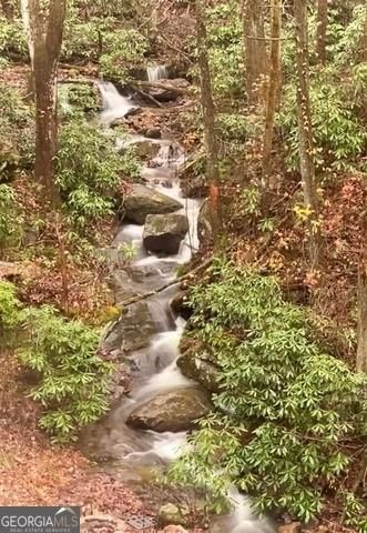 130 Mustang Creek Road, Cleveland, GA 30528