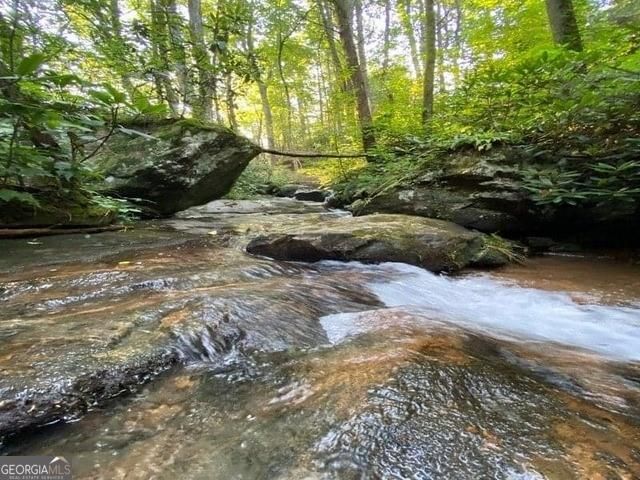 130 Mustang Creek Road, Cleveland, GA 30528