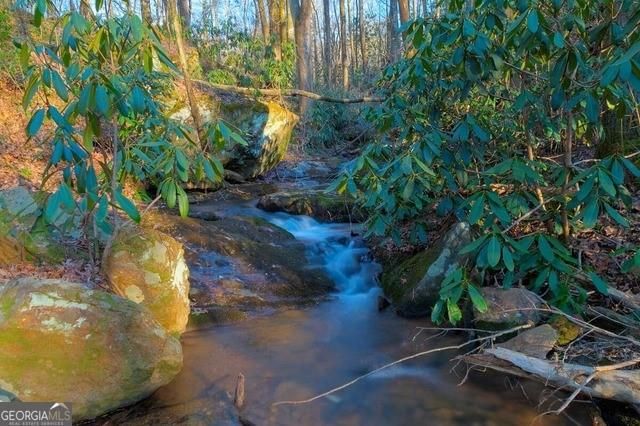 130 Mustang Creek Road, Cleveland, GA 30528