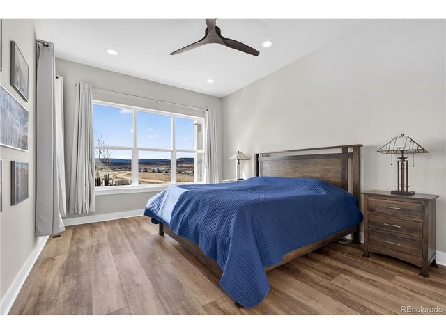 289 Leafy Aster Ln, Castle Rock, CO 80104