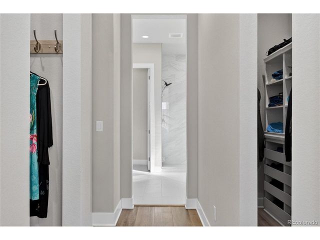 289 Leafy Aster Ln, Castle Rock, CO 80104