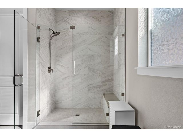 289 Leafy Aster Ln, Castle Rock, CO 80104