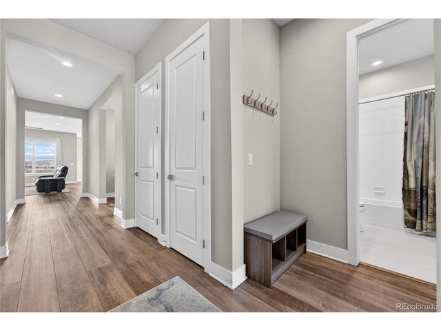 289 Leafy Aster Ln, Castle Rock, CO 80104