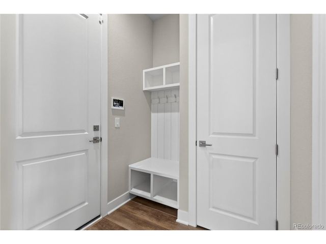 289 Leafy Aster Ln, Castle Rock, CO 80104