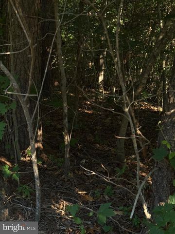 KIRTLEY TRL, Culpeper, VA 22701