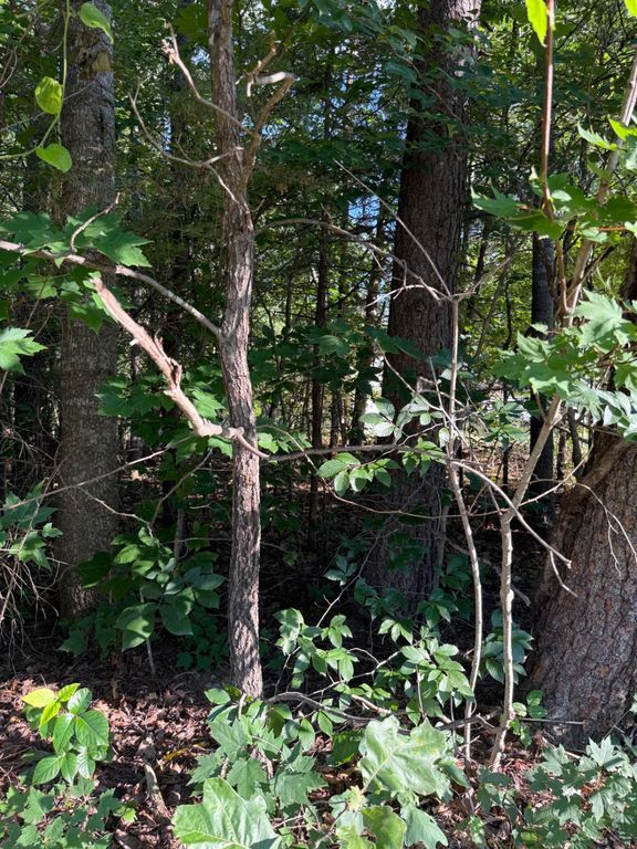 KIRTLEY TRL, Culpeper, VA 22701