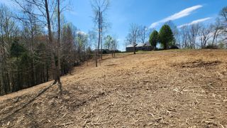 0 Opal Pt, Smithville, TN 37166