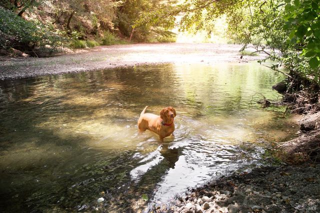 1500 Old Cazadero Rd, Cazadero, CA 95421