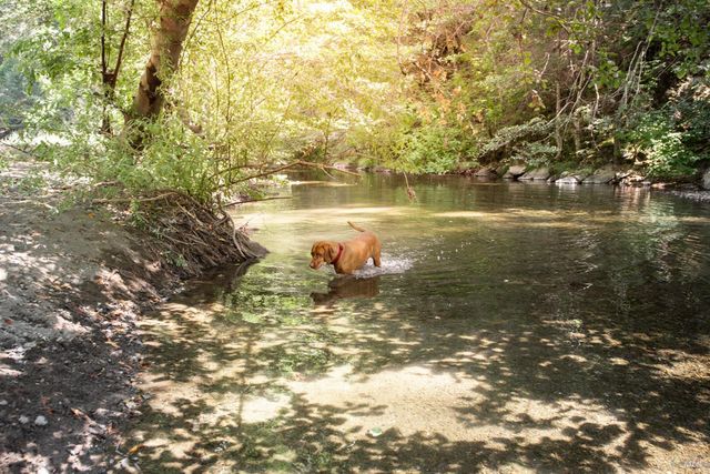 1500 Old Cazadero Rd, Cazadero, CA 95421