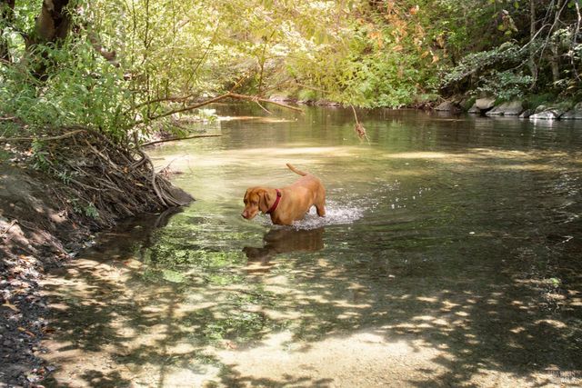 1500 Old Cazadero Rd, Cazadero, CA 95421