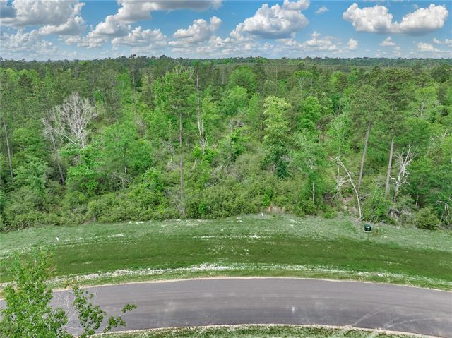 11555 Inspiration Drive, Willis, TX 77378