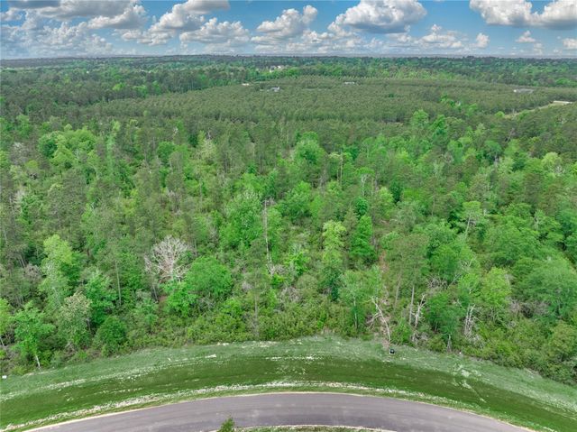 11555 Inspiration Drive, Willis, TX 77378