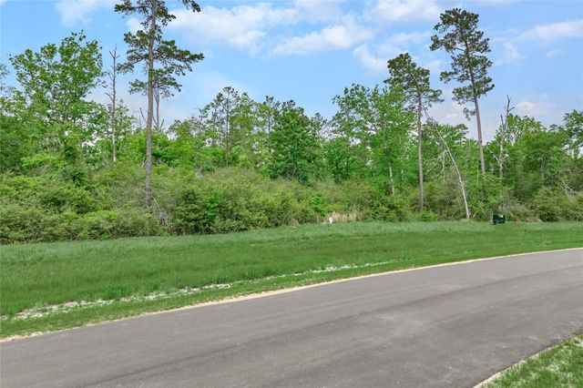 11555 Inspiration Drive, Willis, TX 77378