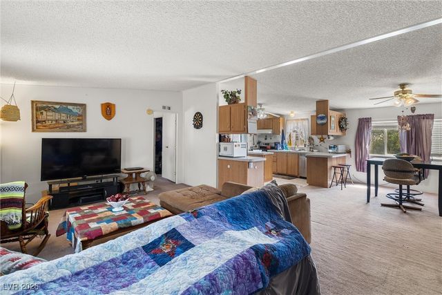 3199 South Records Road, Amargosa Valley, NV 89020