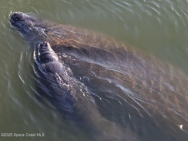 190 Escambia Lane 402, Cocoa Beach, FL 32931