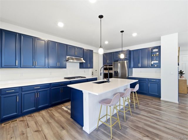 33 Felicity Loop, Castle Rock, CO 80109