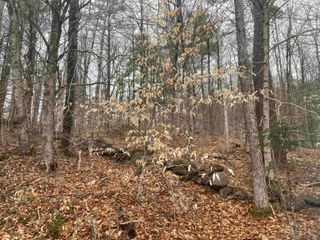 4 &5 River Road, Dorchester, NH 03266