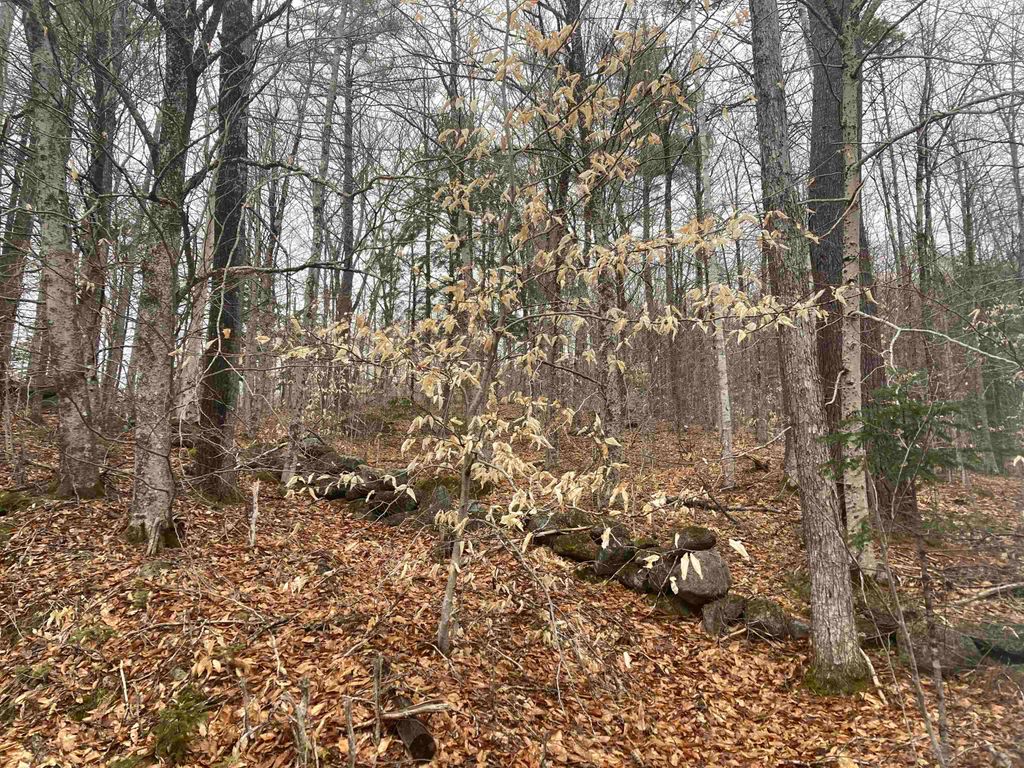 4 &5 River Road, Dorchester, NH 03266