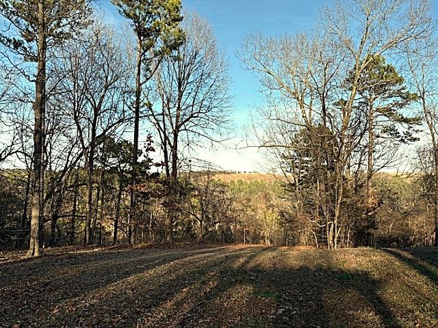 9400 Red Barn Lane, Omaha, AR 72662