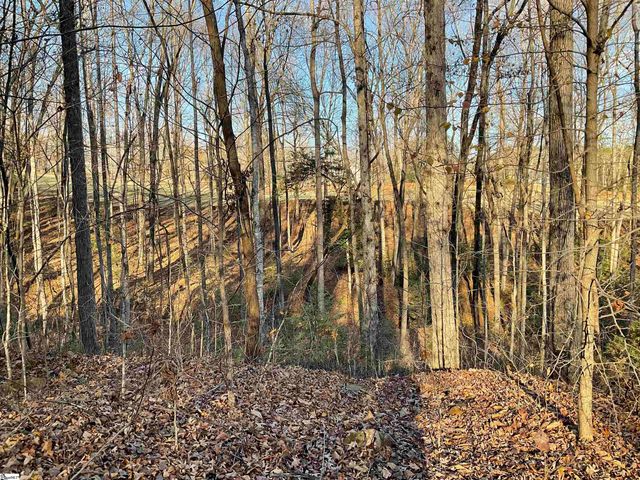 110 Laurel Valley Way, Travelers Rest, SC 29690