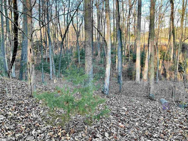 110 Laurel Valley Way, Travelers Rest, SC 29690