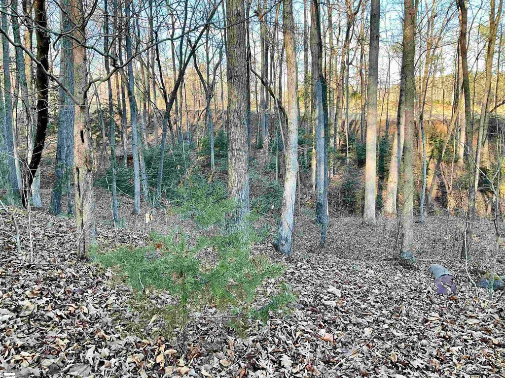 110 Laurel Valley Way, Travelers Rest, SC 29690