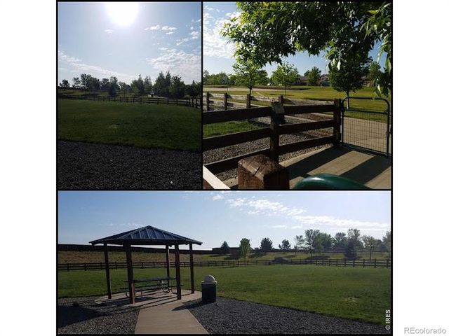 11421 Ebony Street, Longmont, CO 80504