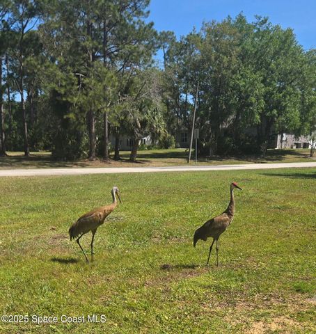 5425 James Lane, Mims, FL 32754