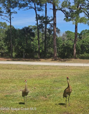 5425 James Lane, Mims, FL 32754