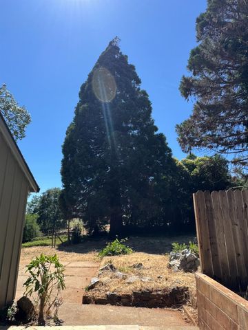 10149 East Dr, Grass Valley, CA 95945