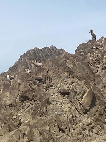 77680 Tradition Drive, La Quinta, CA 92253