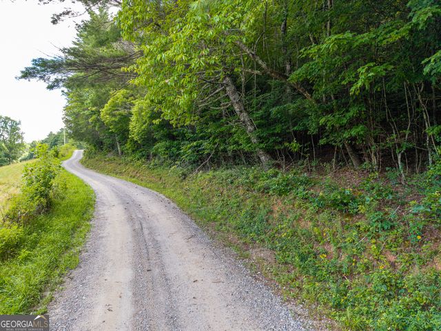 0 White Pine Road, Mccaysville, GA 30555