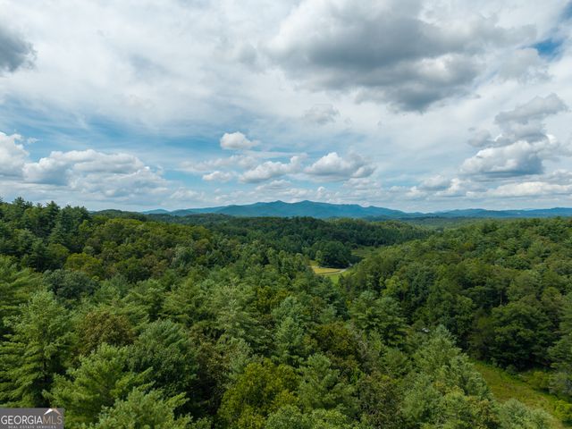 0 White Pine Road, Mccaysville, GA 30555
