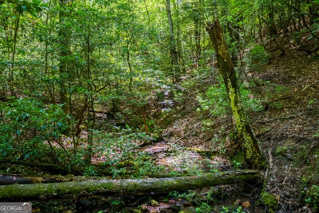 0 White Pine Road, Mccaysville, GA 30555