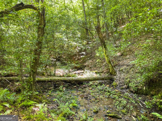 0 White Pine Road, Mccaysville, GA 30555