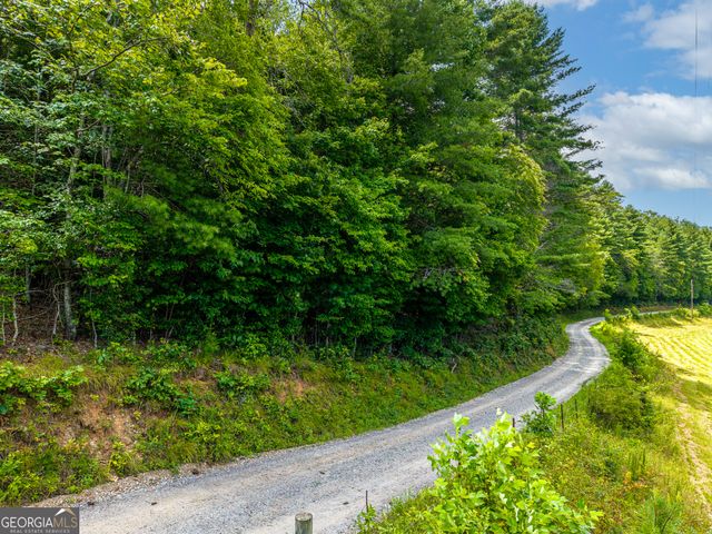 0 White Pine Road, Mccaysville, GA 30555