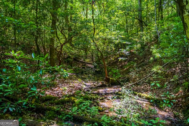0 White Pine Road, Mccaysville, GA 30555