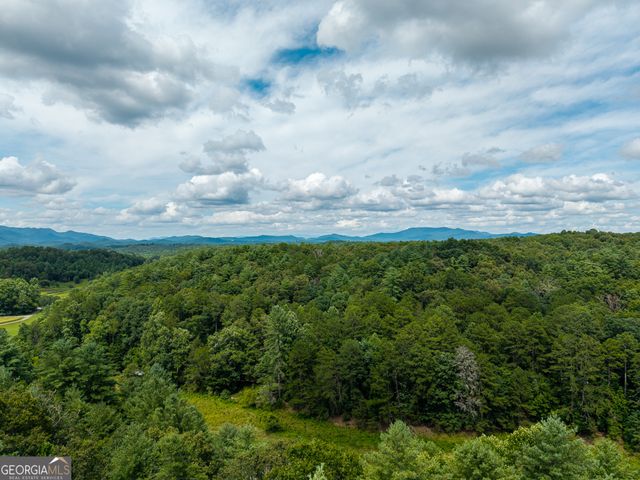 0 White Pine Road, Mccaysville, GA 30555