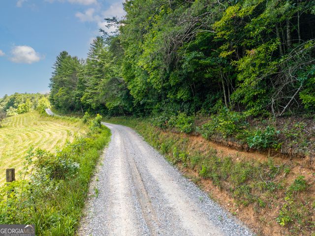 0 White Pine Road, Mccaysville, GA 30555