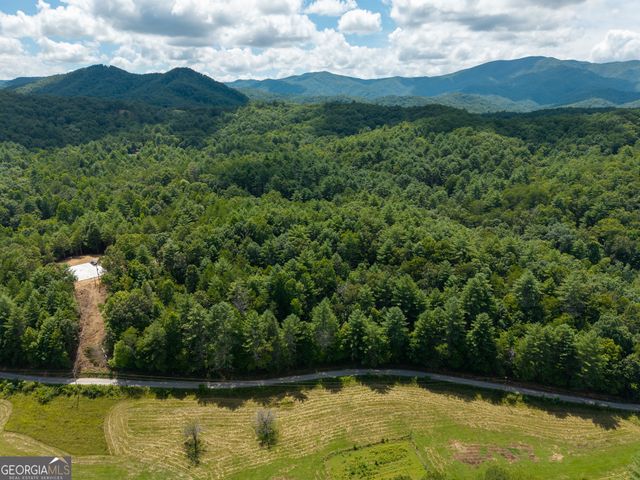 0 White Pine Road, Mccaysville, GA 30555