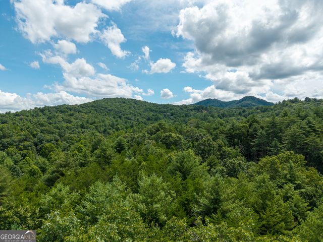 0 White Pine Road, Mccaysville, GA 30555