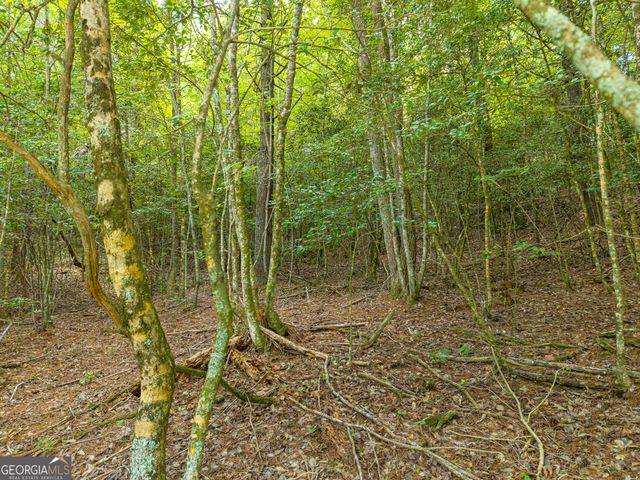 0 White Pine Road, Mccaysville, GA 30555