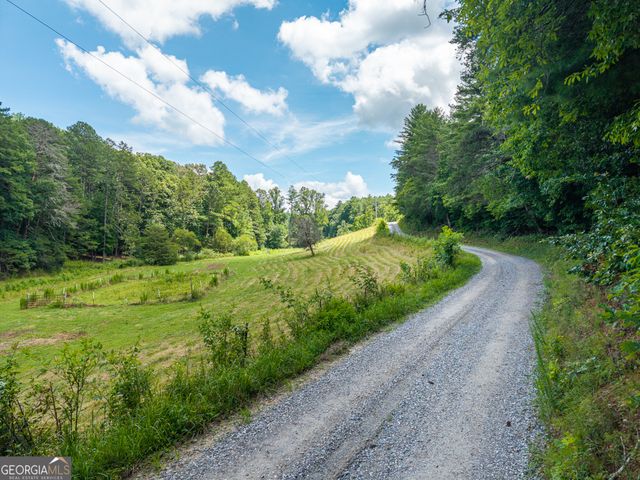 0 White Pine Road, Mccaysville, GA 30555