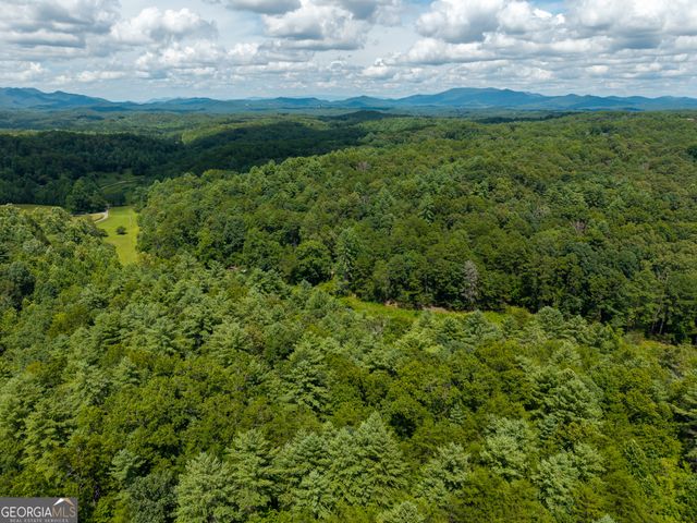0 White Pine Road, Mccaysville, GA 30555
